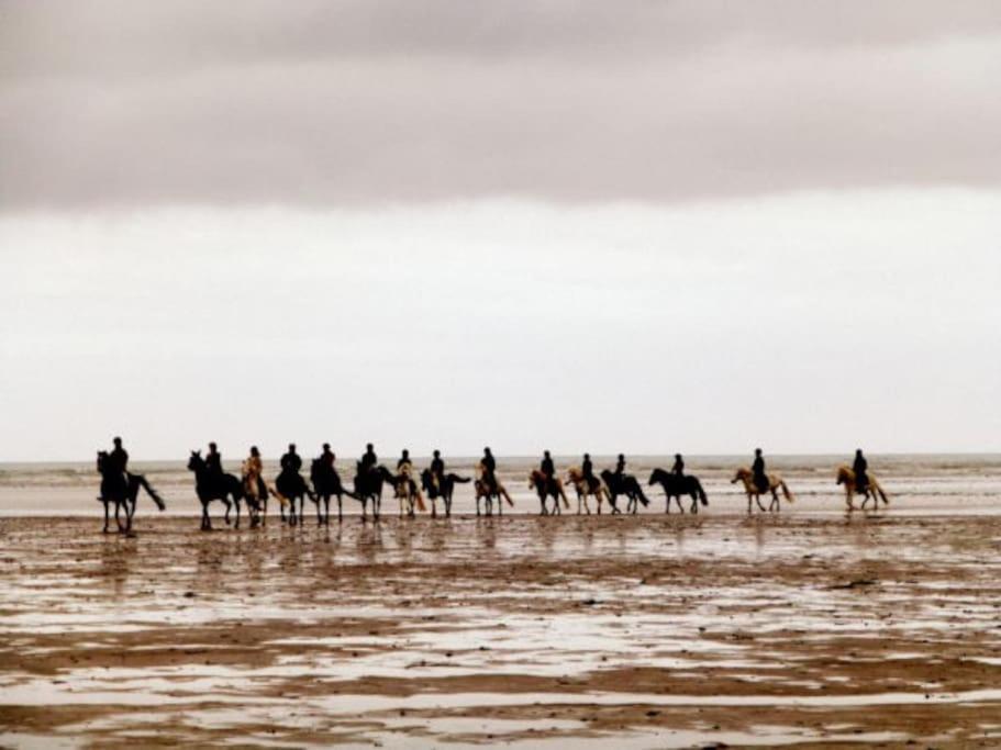 Ty Ar Mor Maison De La Mer, A 40 M De La Plage Saint-Michel-en-Grève 外观 照片